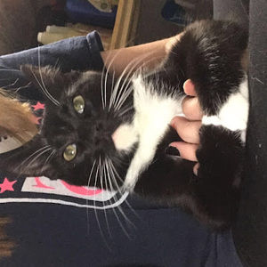 Meet your Posher, Alora